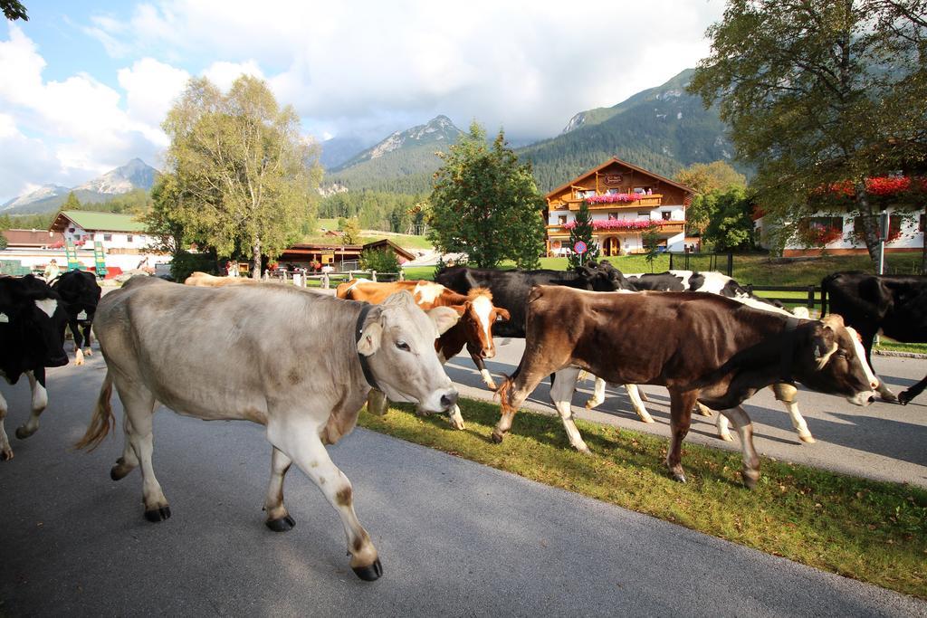 Ivos Sonnenpension Leutasch Bagian luar foto